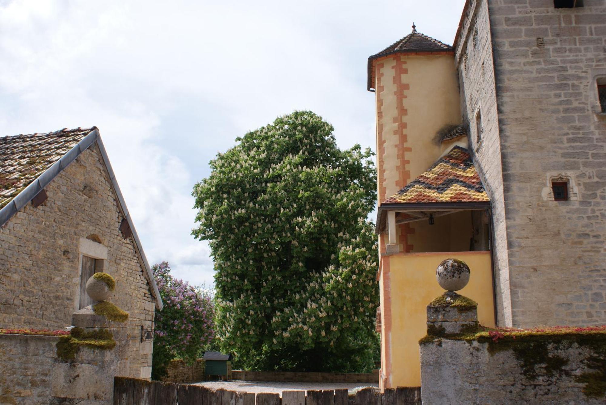 Chateau De Champrenault, Voyagez Dans Le Temps 외부 사진
